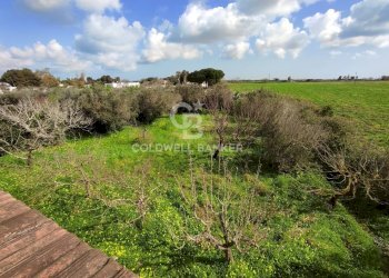 Foto 37 - Villa Via del pero
 
15, Brindisi - photo 37