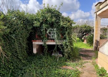 Foto 38 - Villa Via del pero
 
15, Brindisi - photo 38