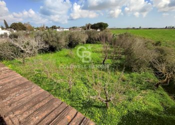 Foto 39 - Villa Via del pero
 
15, Brindisi - photo 39