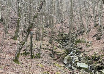 Bilocale locarità cassego, 71 A 
 Cassego, Varese Ligure - foto 8