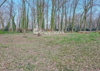 Foto 38 - Villa Bosco Piarda
 
2, Bernate Ticino - foto 37