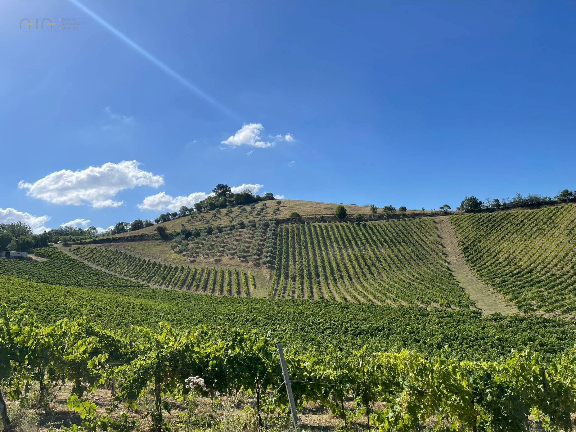 Foto 3 - Terreno agricolo contrada san savino, Ripatransone - foto 3