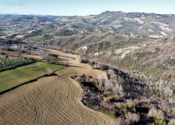 Foto 2 - Terreno agricolo contrada san savino, Ripatransone - foto 2