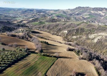 Foto 4 - Terreno agricolo contrada san savino, Ripatransone - foto 4