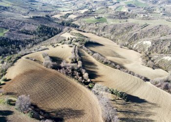 Foto 6 - Terreno agricolo contrada san savino, Ripatransone - foto 6