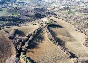 Foto 8 - Terreno agricolo contrada san savino, Ripatransone - foto 8