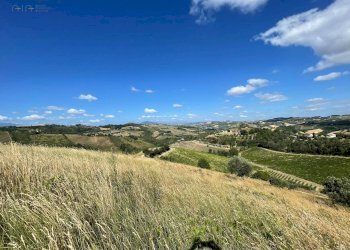 Foto 11 - Terreno agricolo contrada san savino, Ripatransone - foto 11