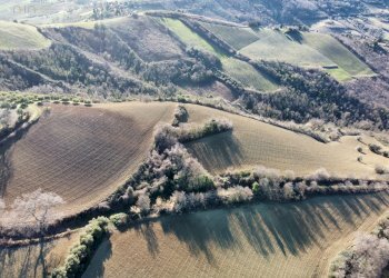 Foto 12 - Terreno agricolo contrada san savino, Ripatransone - foto 12