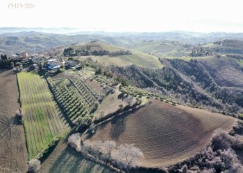 Foto 14 - Terreno agricolo contrada san savino, Ripatransone - foto 14