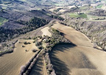 Foto 17 - Terreno agricolo contrada san savino, Ripatransone - foto 17