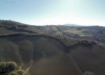 Foto 19 - Terreno agricolo contrada san savino, Ripatransone - foto 19