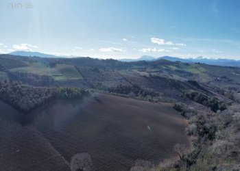 Foto 20 - Terreno agricolo contrada san savino, Ripatransone - foto 20
