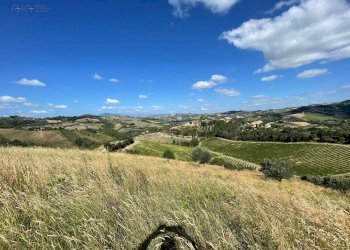 Foto 21 - Terreno agricolo contrada san savino, Ripatransone - foto 21