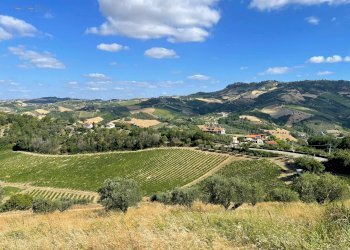 Foto 22 - Terreno agricolo contrada san savino, Ripatransone - foto 22