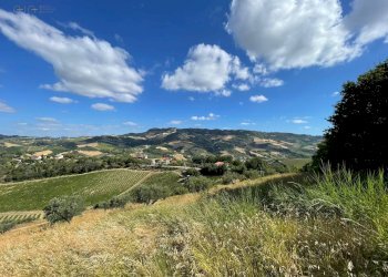 Foto 23 - Terreno agricolo contrada san savino, Ripatransone - foto 23