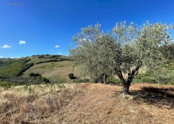 Foto 24 - Terreno agricolo contrada san savino, Ripatransone - foto 24
