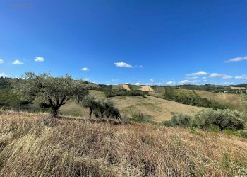 Foto 26 - Terreno agricolo contrada san savino, Ripatransone - foto 26