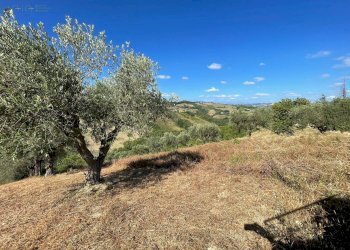 Foto 27 - Terreno agricolo contrada san savino, Ripatransone - foto 27