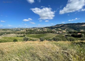 Foto 28 - Terreno agricolo contrada san savino, Ripatransone - foto 28