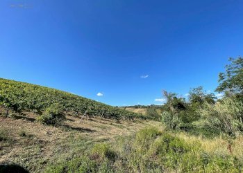 Foto 34 - Terreno agricolo contrada san savino, Ripatransone - foto 34