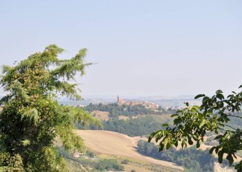 Foto 11 - Stable - Palace Piazza Rocca
 
32a - 32b, Petritoli - photo 11