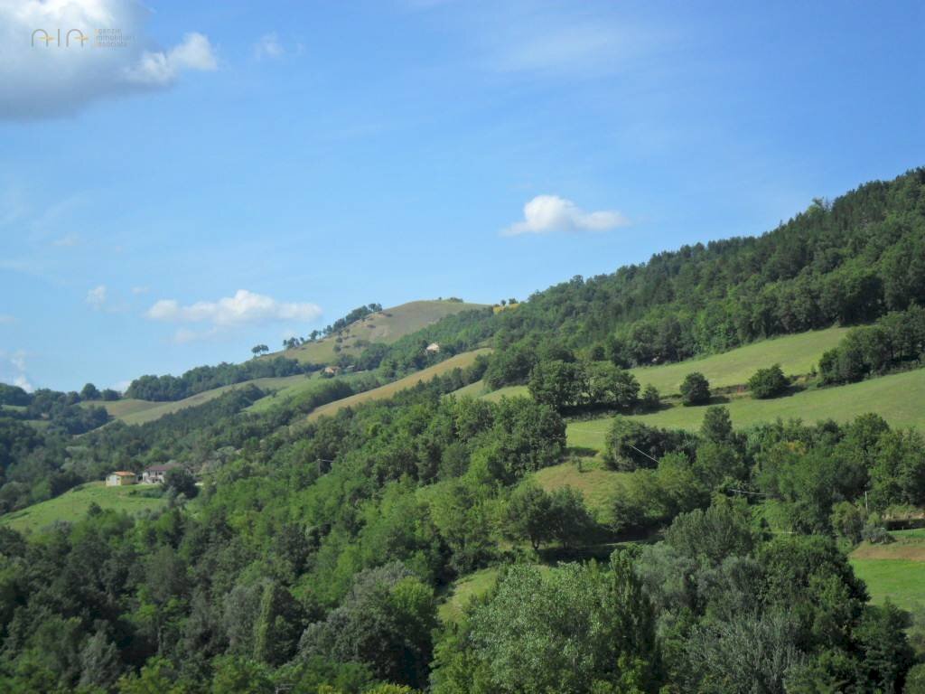 Foto 3 - Terreno agricolo C.da Collicelli, Amandola - foto 3