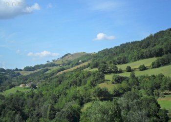 Foto 3 - Terreno agricolo C.da Collicelli, Amandola - foto 3