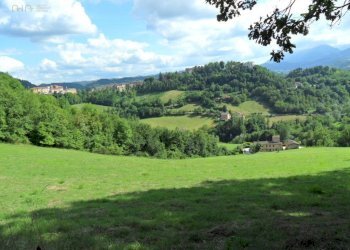 Foto 4 - Terreno agricolo C.da Collicelli, Amandola - foto 4