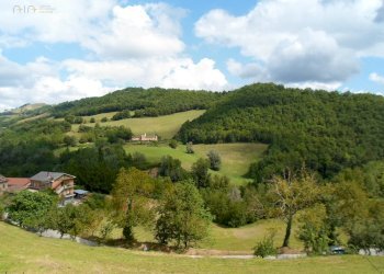 Foto 5 - Terreno agricolo C.da Collicelli, Amandola - foto 5
