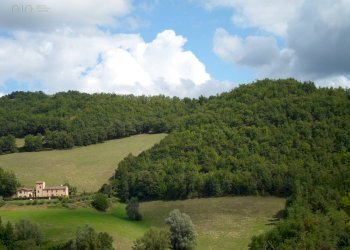 Foto 6 - Terreno agricolo C.da Collicelli, Amandola - foto 6