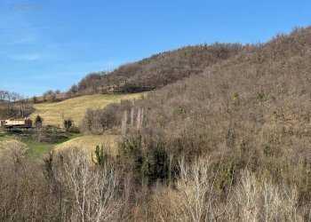 Foto 11 - Terreno agricolo C.da Collicelli, Amandola - foto 9