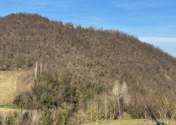 Foto 12 - Terreno agricolo C.da Collicelli, Amandola - foto 10