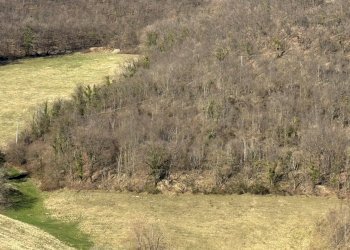 Foto 13 - Terreno agricolo C.da Collicelli, Amandola - foto 11