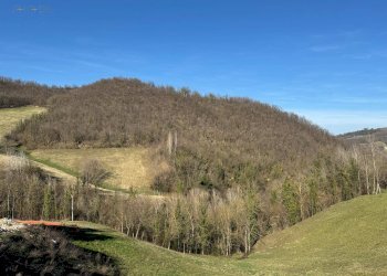 Foto 15 - Terreno agricolo C.da Collicelli, Amandola - foto 13