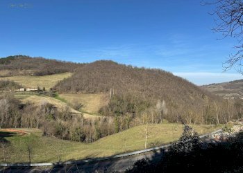 Foto 17 - Terreno agricolo C.da Collicelli, Amandola - foto 15