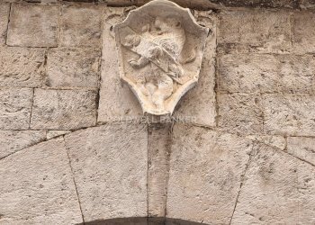 Foto 21 - Monolocale Via Gelso
 
63, Giovinazzo - foto 21