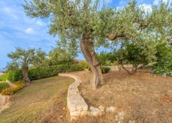 Foto 43 - Villa Strada Comunale Fusella
 
Nc, Polignano a Mare - photo 43