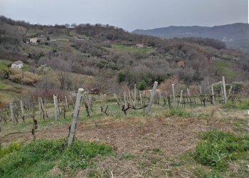 Foto 5 - Villa Montano Antilia - foto 5