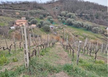 Foto 7 - Villa Montano Antilia - foto 7