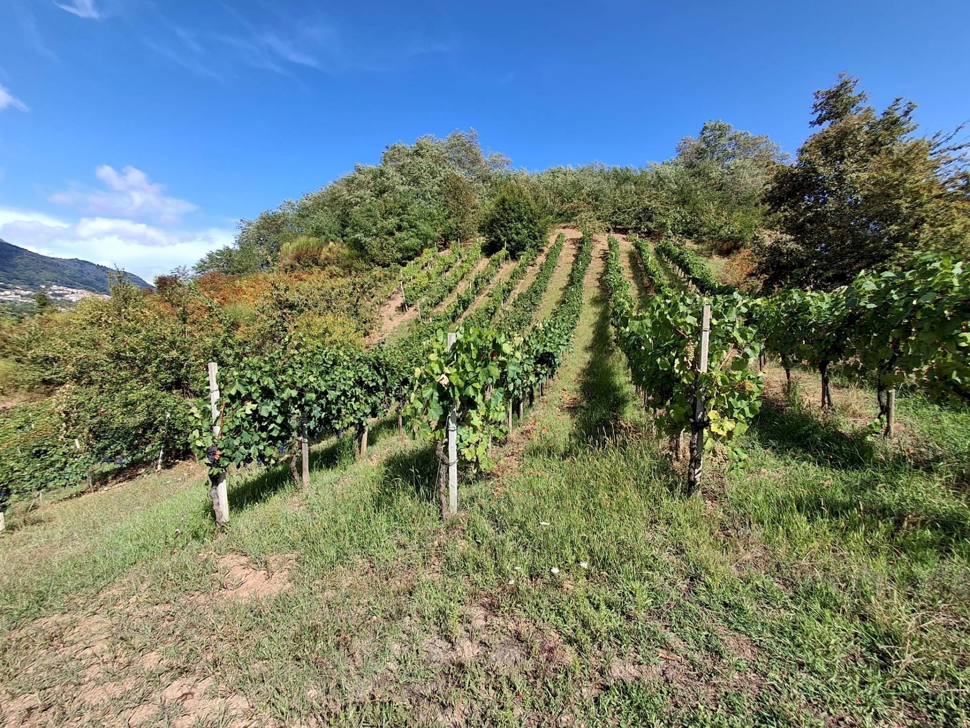 Foto 2 - Casa indipendente Montano Antilia - foto 2