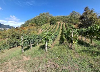 Foto 2 - Casa indipendente Montano Antilia - foto 2