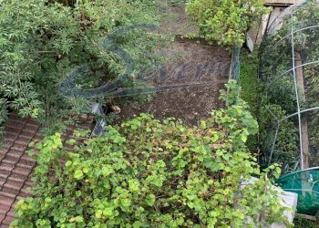 Foto 9 - Casa indipendente Centro Valle Intelvi - foto 9