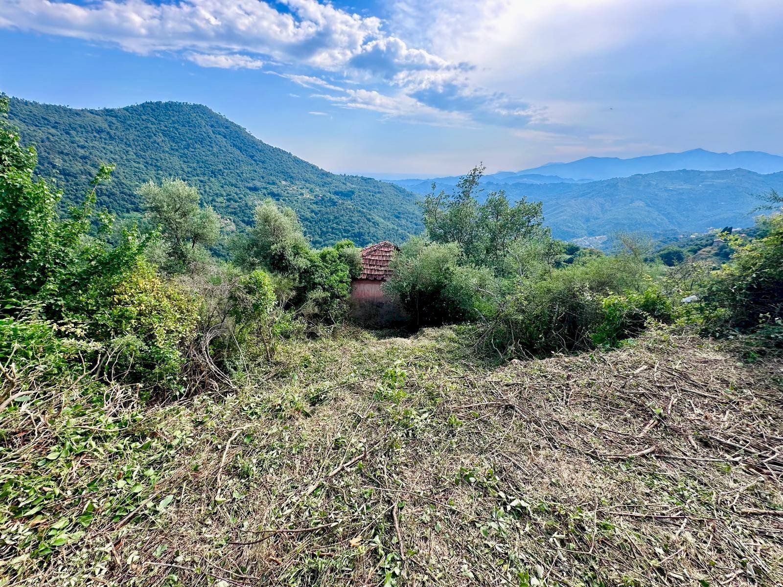 Foto 1 - Independent house Perinaldo - photo 1