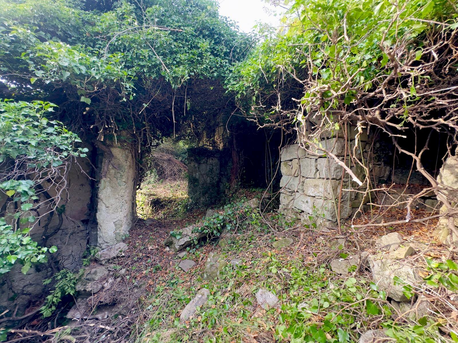 Foto 2 - Independent house Perinaldo - photo 2