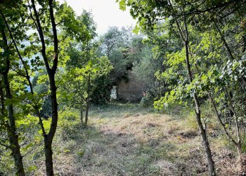 Foto 4 - Independent house Perinaldo - photo 4