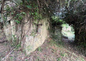 Foto 6 - Independent house Perinaldo - photo 6