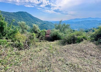 Foto 7 - Independent house Perinaldo - photo 7