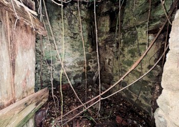 Foto 10 - Independent house Perinaldo - photo 10