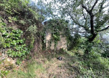 Foto 12 - Independent house Perinaldo - photo 12