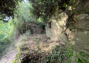 Foto 15 - Independent house Perinaldo - photo 13